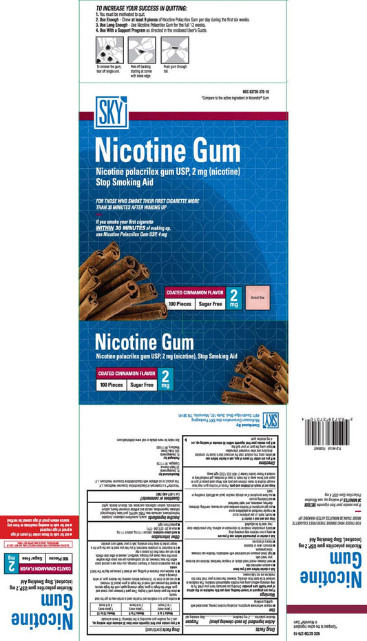 Nicotine S/F Cinnamon 2 Mg Gum 100, 1 Each, By MCKESSON